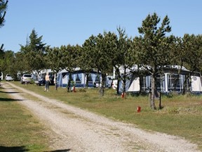 Rødhus Klit Camping Strand